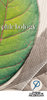 Brochures