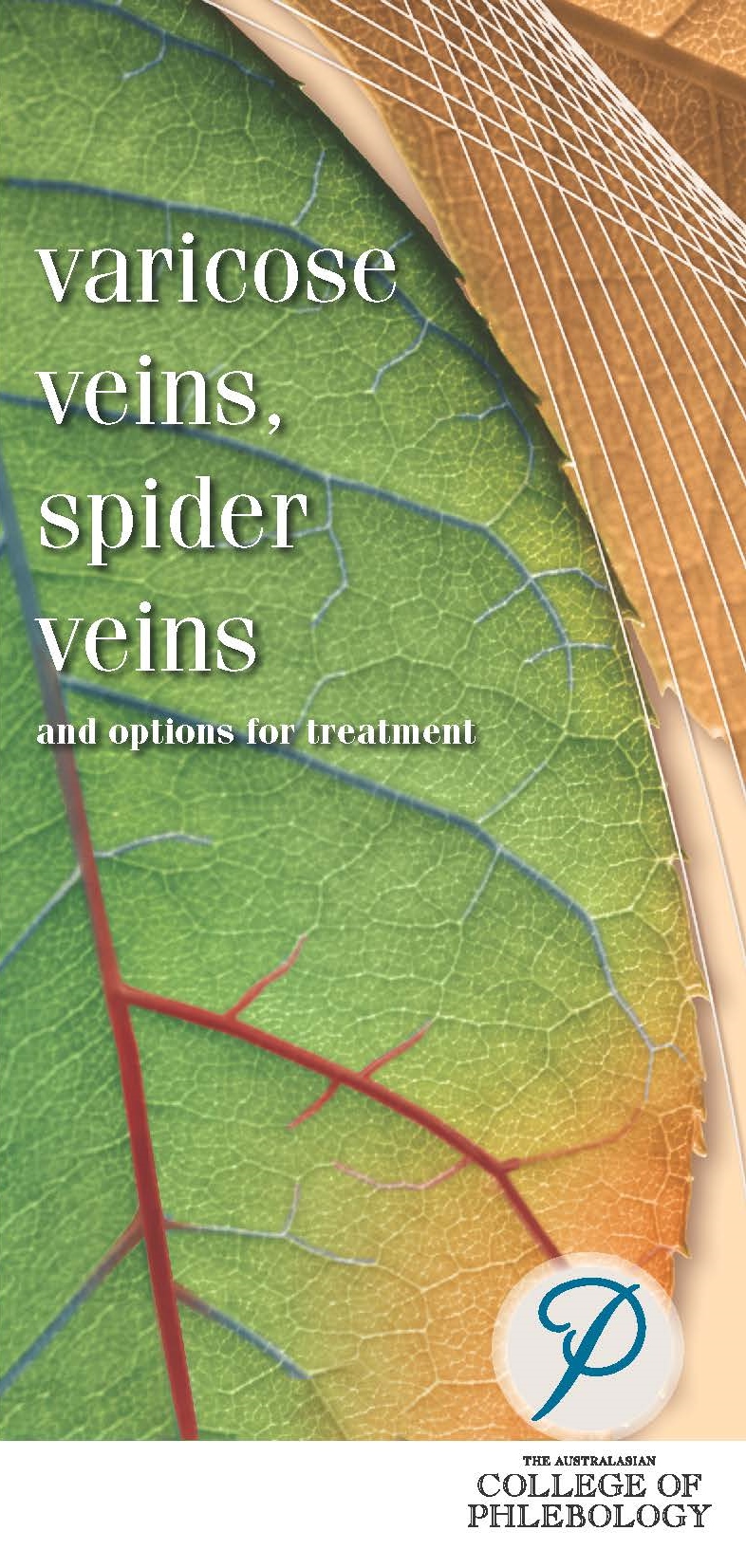 Varicose Veins Brochure